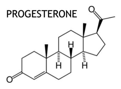 In theory, 6-keto-progesterone could convert to 6-oxo and 6-hydroxyl androgens. . Progesterone steroid bodybuilding